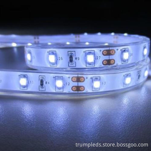 SMD Waterproof 3528 LED Flexible Strip 24v White 5m/roll
